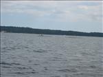 Sweden 2007-08 197